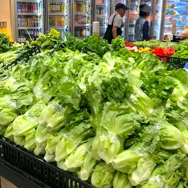 青菜区照明,让新鲜蔬菜更水嫩